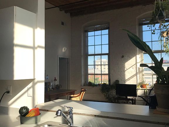 3rd image of 313 Vine St APT 405