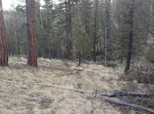 59 Nevada Ln, Florissant, CO 80816