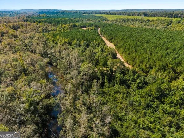 1 W State Route 90 Road Whitewater Farm, Ideal, GA 31041
