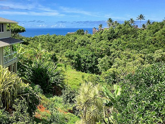 Ocean and Jungle Views
