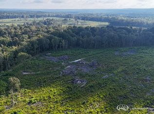 Highway 469 Lot Wp001, Florence, MS 39073