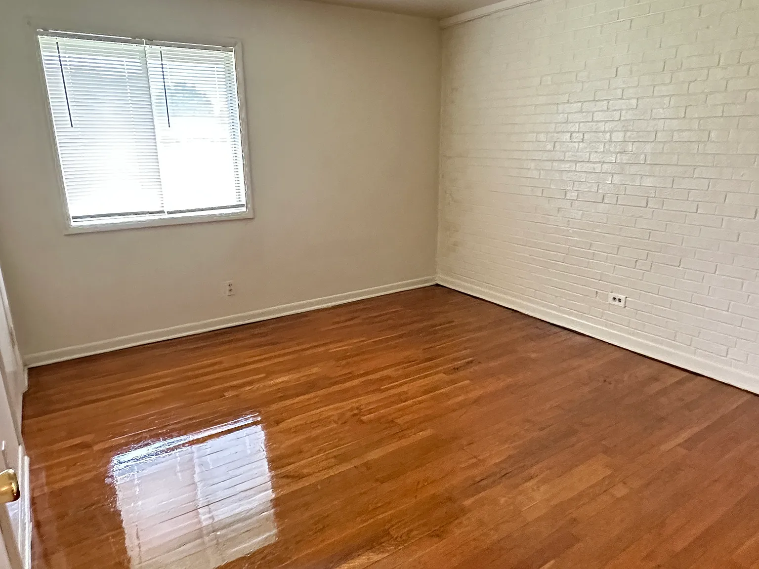 1 bed, 750 sqft, $650 — Photo 3