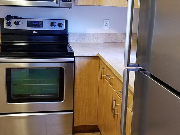 high-end stainless appliances