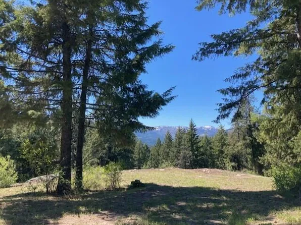 161 Jacknife Lookout Rd, Kettle Falls, WA 99141