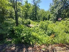 2nd image of 0 Narragansett Rd