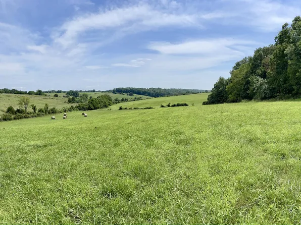 000 Rocky Hollow Drive, Marshfield, MO 65706