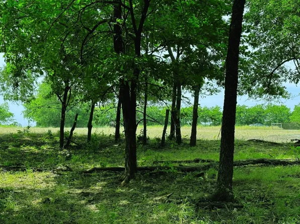 1 Rose Hill Rd, Whitewright, TX 75491