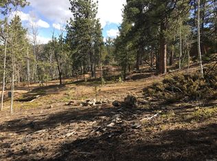 219 Taylor St, Bailey, CO 80421