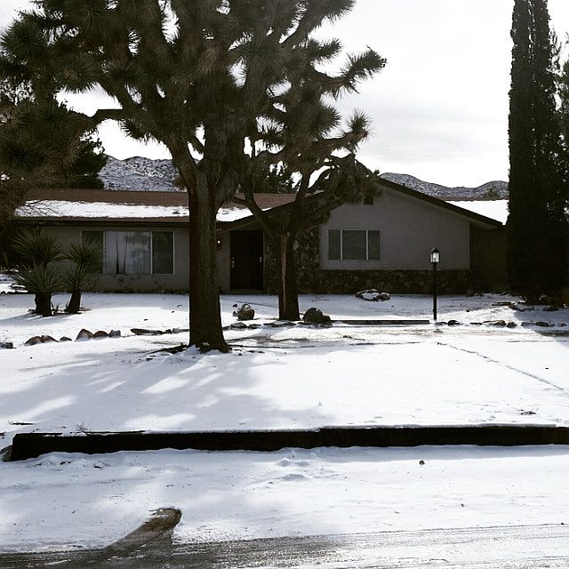 front yard