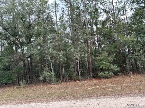 8631 N Pelican Ter, Citrus Springs, FL 34434