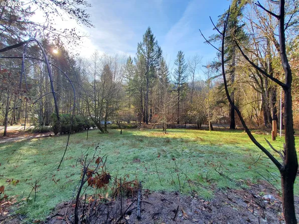 49391 Eagle Rock Pl, Vida, OR 97488