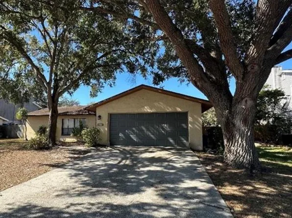 4305 ELLENVILLE PLACE, VALRICO, FL 33596