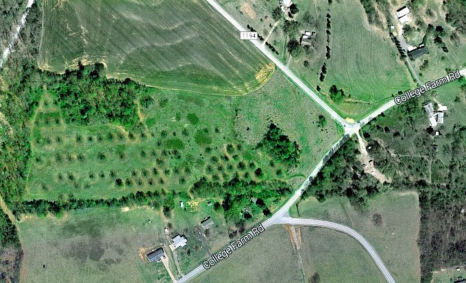 Pecan trees slope 18 acres