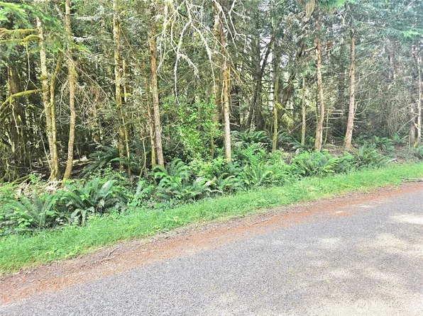 124 E Go Onna Drive, Quilcene, WA 98376