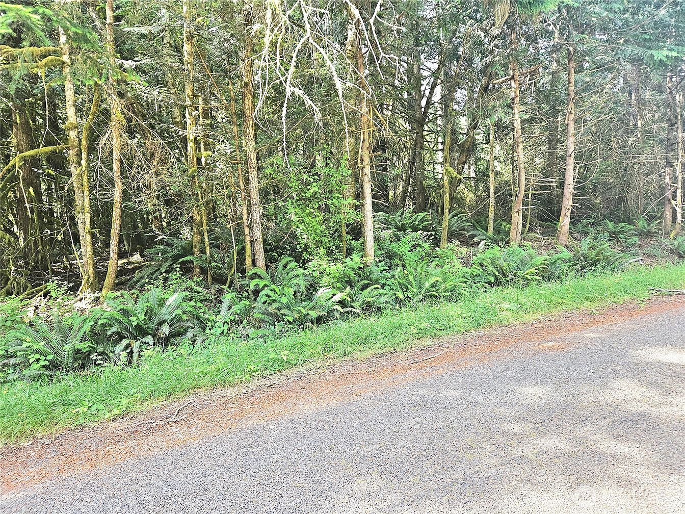 1st image of 124 E Go Onna Drive