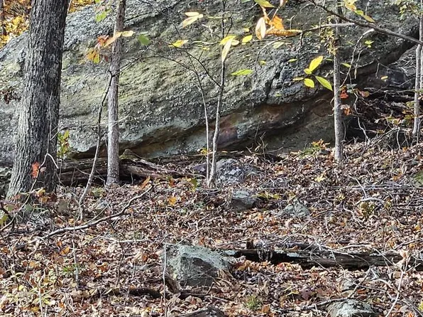 2005 Dog Walk Rd, Equality, IL 62934