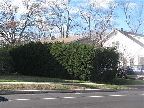 2nd image of 168 Buckelew Ave