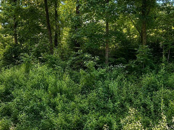 5th image of 1124 Lick Creek Boat Dock Loop
