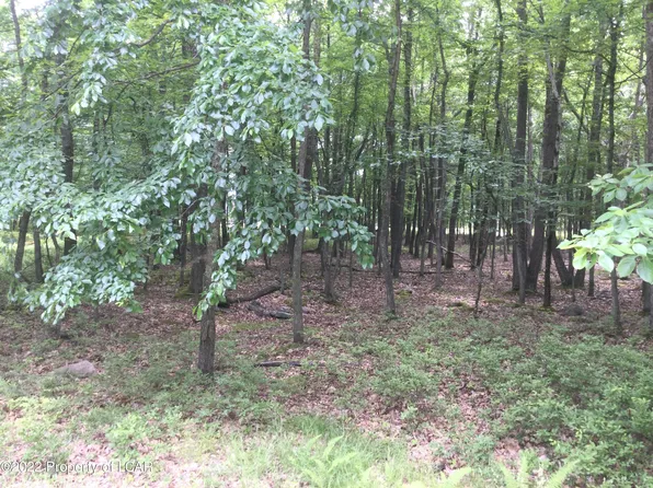 Jae 109 Kickapoo Dr, Hazleton, PA 18202