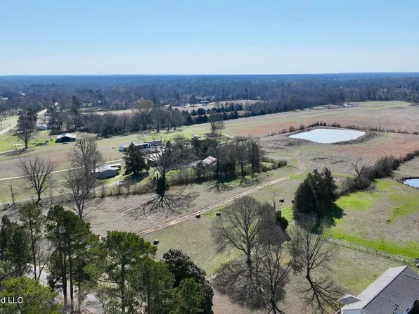1055 Jenkins Rd, Terry, MS 39170