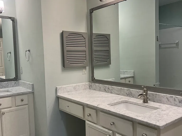700 Daniel Ellis Dr #4208 — Photo 28