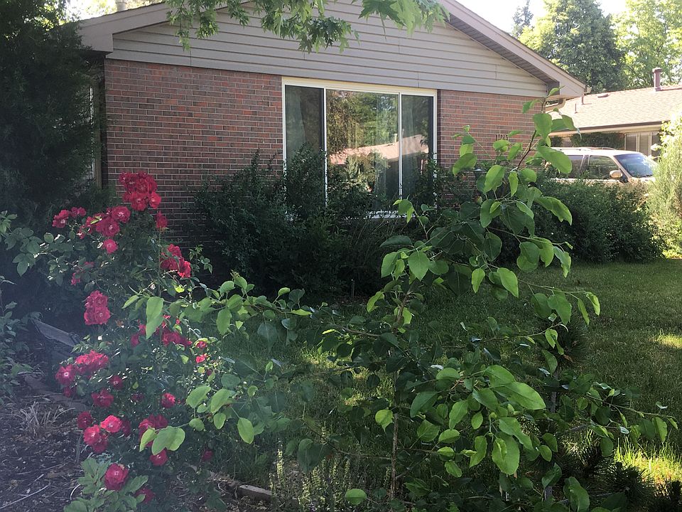 Front privacy garden, roses