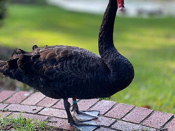 3rd image of 913 Millpond Rd