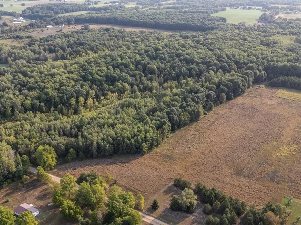 S Littlefield Rd, Blanchard, MI 49310