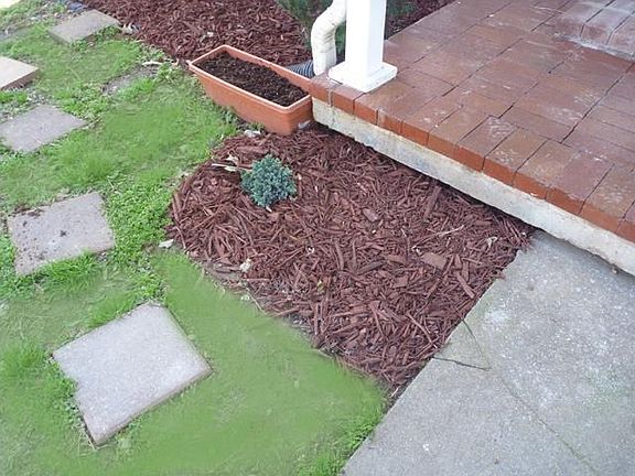 3rd image of 712 Woodmont Blvd APT 1