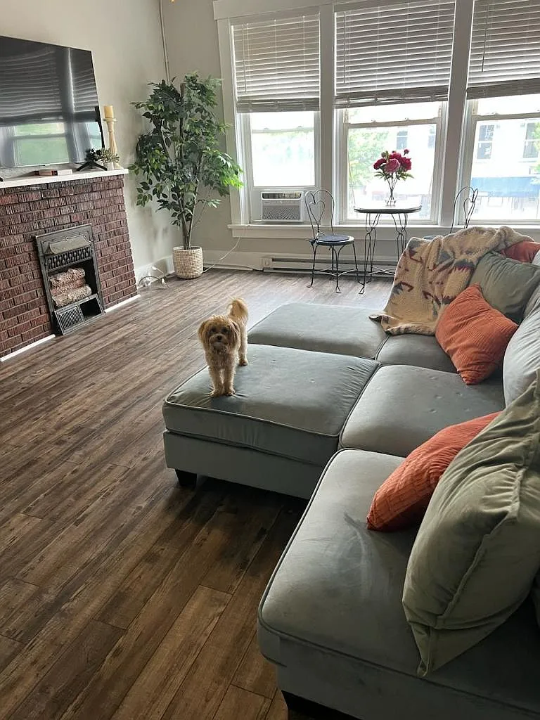 1 bed, 950 sqft, $950 — Photo 2