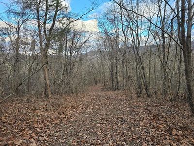 0 Main St, Buchanan, VA, 24066