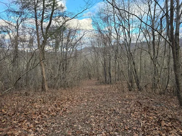 0 Main St, Buchanan, VA 24066