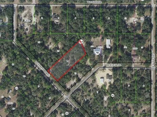 9383 N China Pink Way, Crystal River, FL 34428