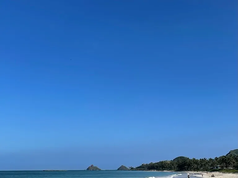 2.5 mile beach 2 homes away