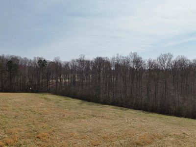 321 Ivie Trl, Columbus, NC, 28722