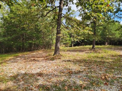 Tbd Spring Creek Road, Branson, MO, 65616