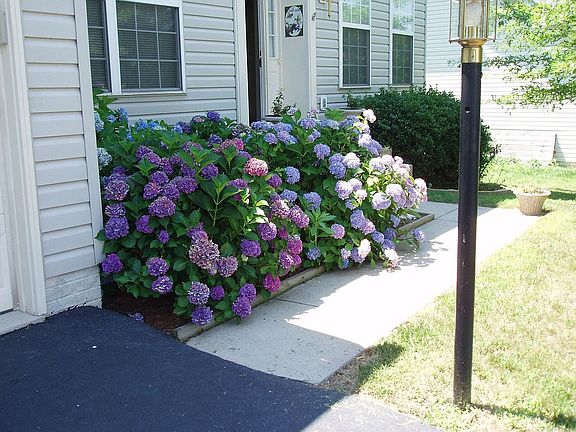 2nd image of 9293 Hillis Ct