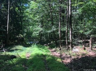 14 Stein Rd, Pine Bush, NY 12566