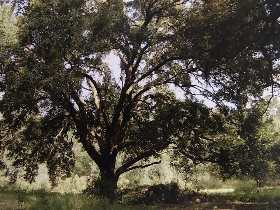 1st image of 13501 W Highway 316