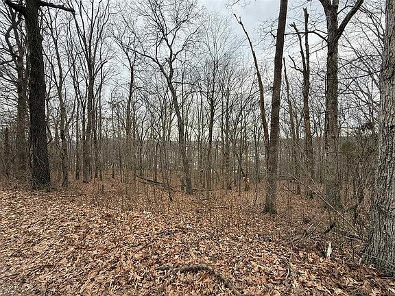 4th image of 0 Pitcher Rd S