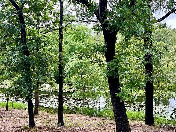 3rd image of LOT 14 County Road 4801