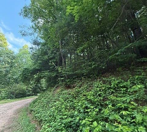 2nd image of 59 Quiet Mountain Trl