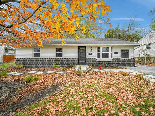 141 E Maple Dr, Glenwood, IL 60425