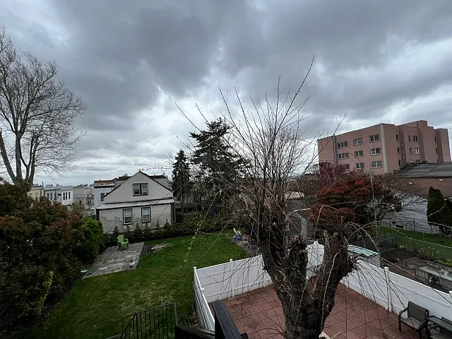 BACKYARD 3