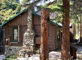 68 Morrison Ln, Empire, CO 80438