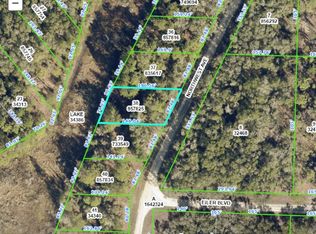 NW Avenue Lot #38, Webster, FL 33597