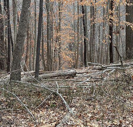 4th image of 3546 Prillaman Switch Rd