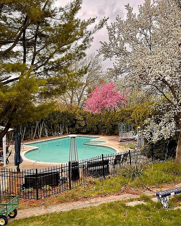 Pool with privacy landscape