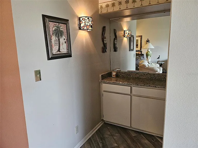 6011 Bahia Del Mar Blvd #255 — Photo 9