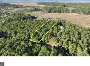 0 W Marsh Way, Townsend, GA 31331